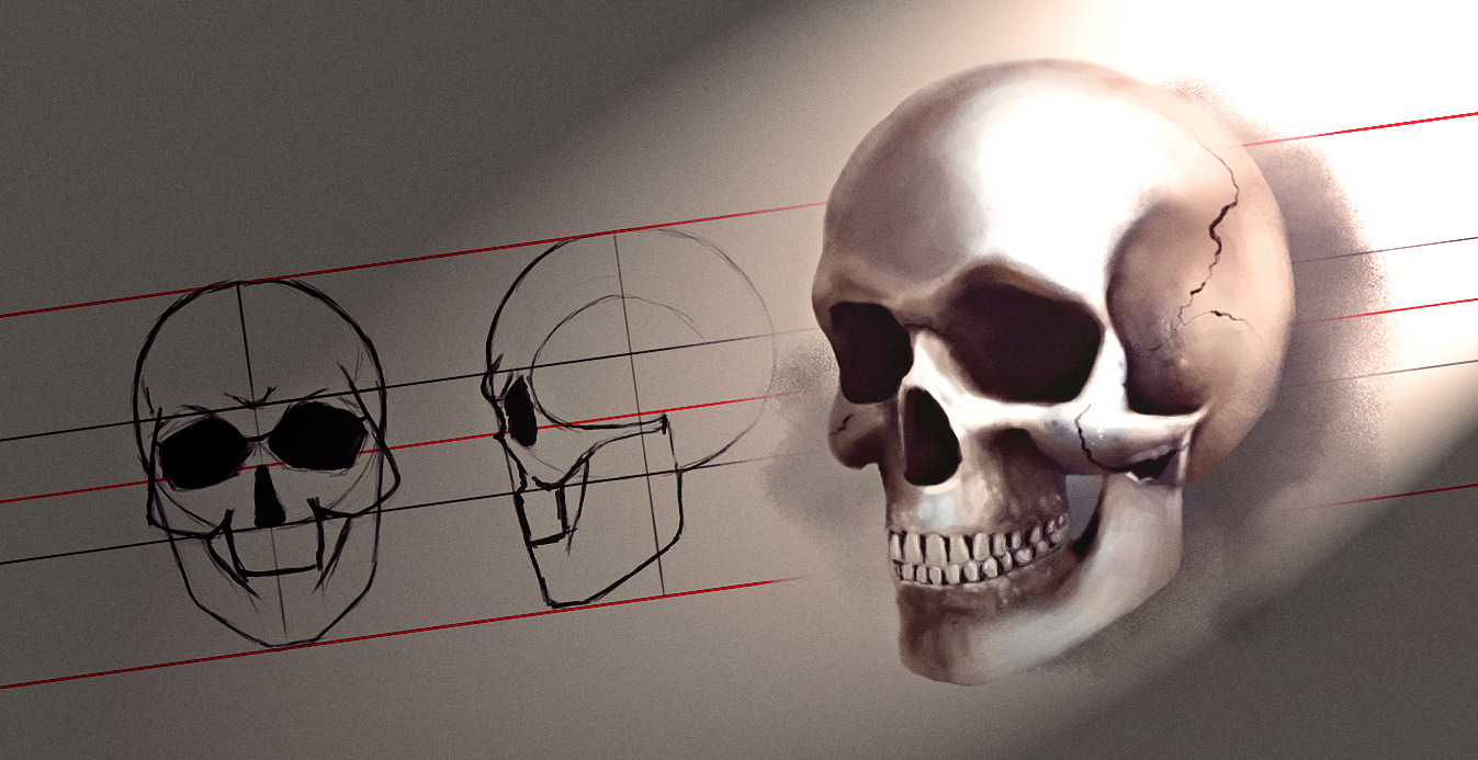1347x693 anatomy basics how to draw a skull arid glamor - Skull Anatomy Drawing