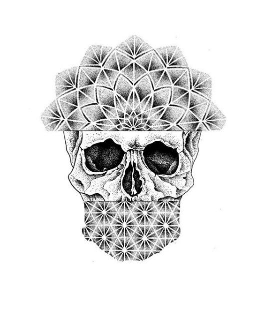 507x639 skulls skull art, skull, skull, bones - Skull And Bones Drawing