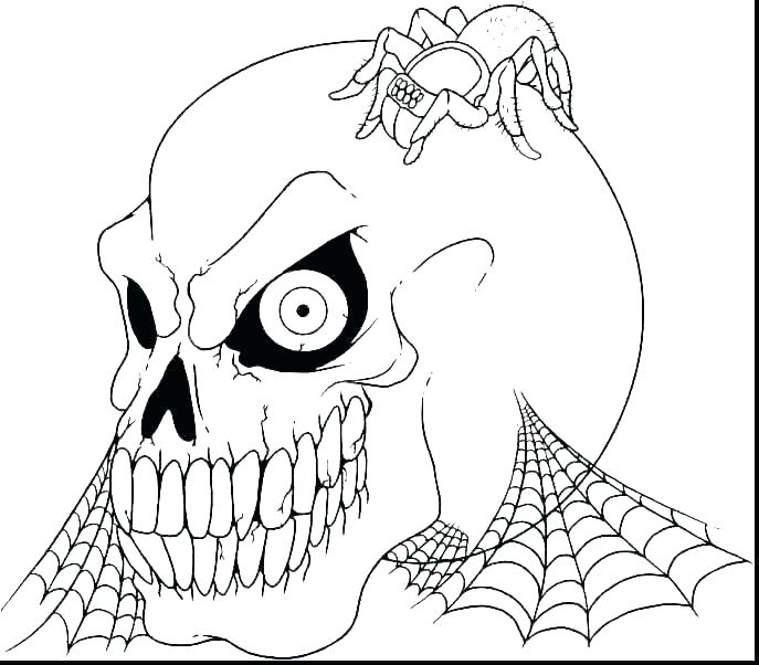 687x602 Skull Bones Coloring Pages And Crossbones Anatomy In She - Skull And Bones Drawing