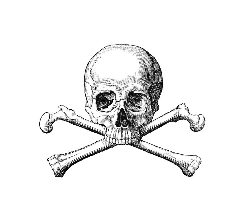 864x762 Skull And Crossbones Old Book Illustrations - Skull And Bones Drawing
