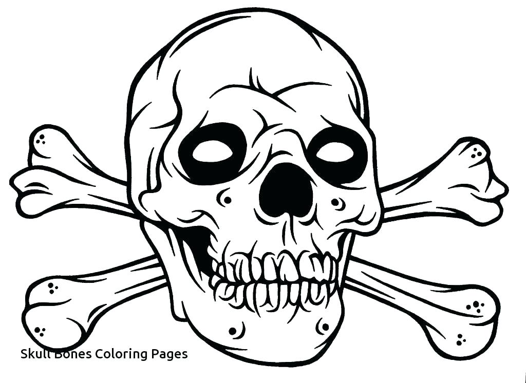 1024x746 Skull Bones Anatomy Coloring Pages Human Colouring And Crossbones - Skull And Crossbones Drawing