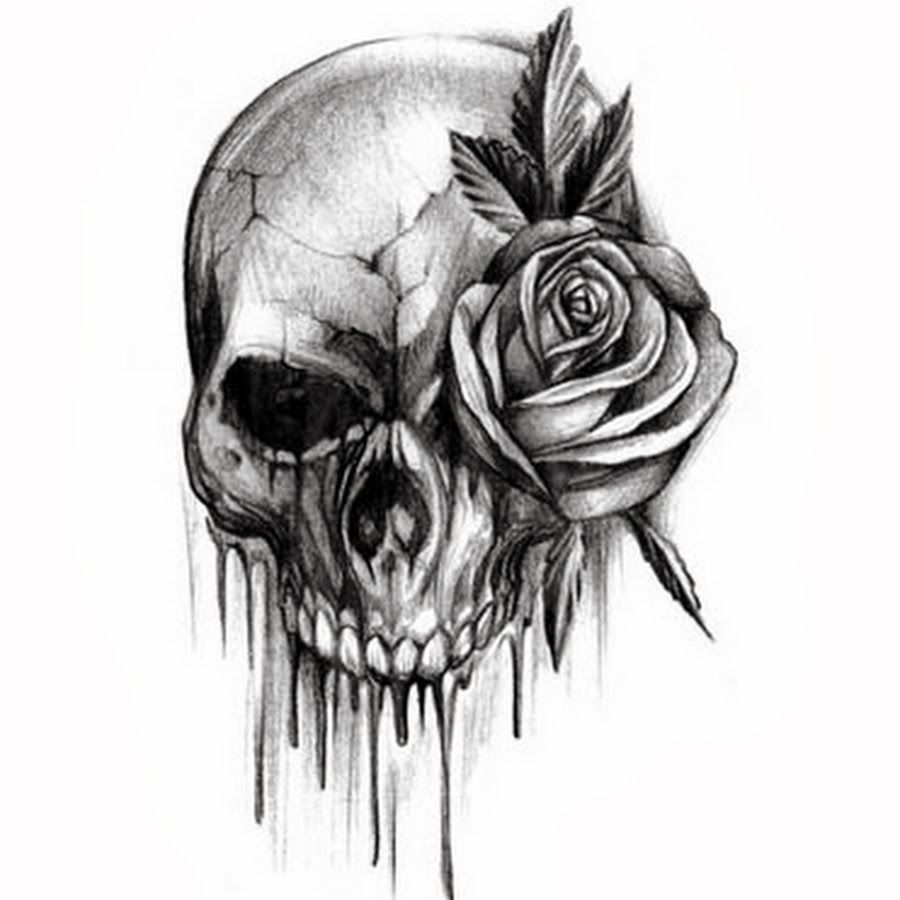 900x900 Image Result For Black And White Skull And Rose Drawings - Skull And Rose Drawing