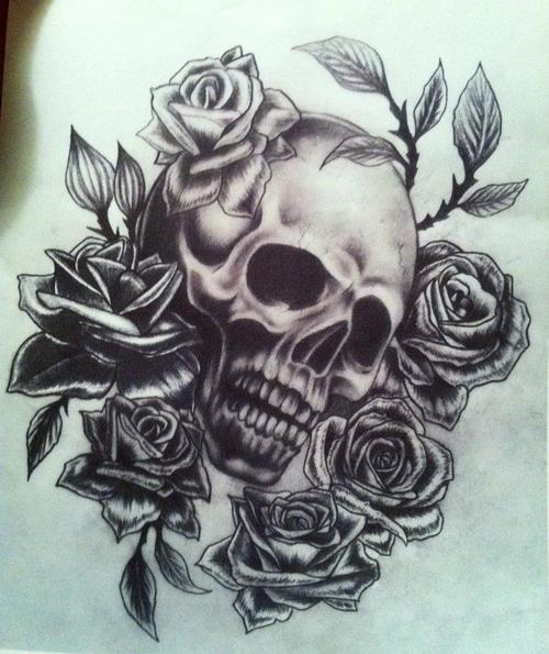500x595 Skull And Rose Drawing Shared - Skull And Rose Drawing
