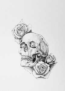 215x300 Skull Rose Drawings - Skull And Rose Drawing