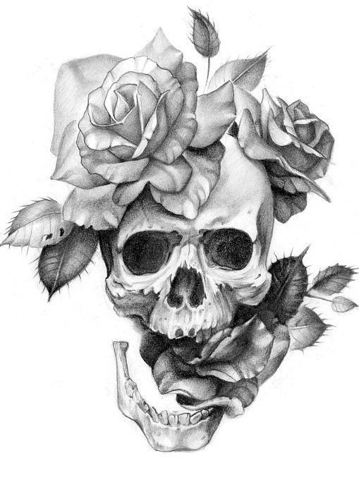 Skull And Rose Drawing at PaintingValley.com | Explore collection of ...