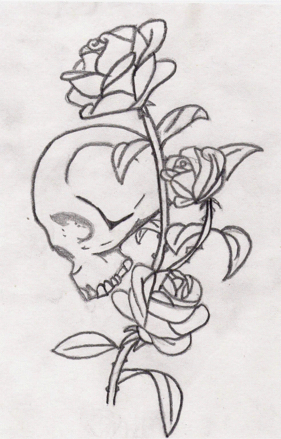 Skull And Rose Drawing at Explore collection of