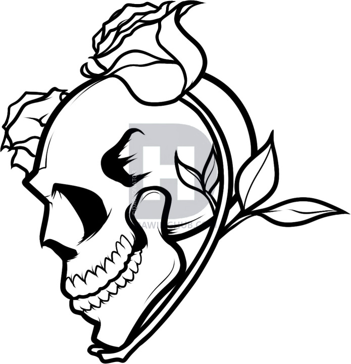 695x720 how to draw a skull and roses, skull and roses, step - Skull And Rose Drawing