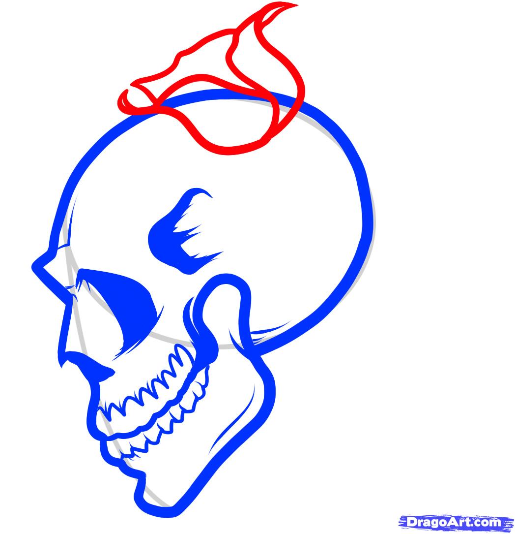 1048x1085 how to draw a skull and roses, skull and roses, step - Skull And Rose Drawing Easy