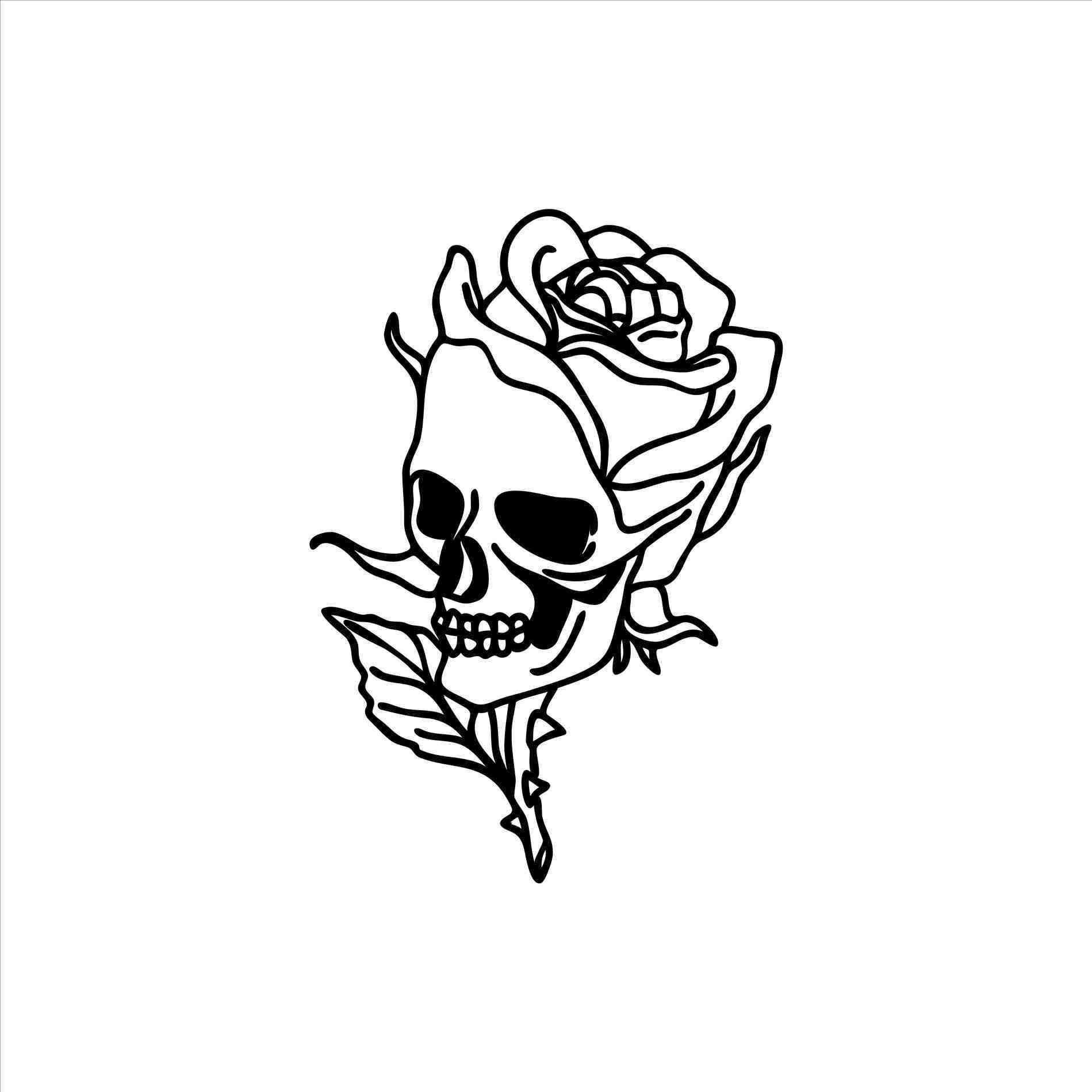 rose skull sketch