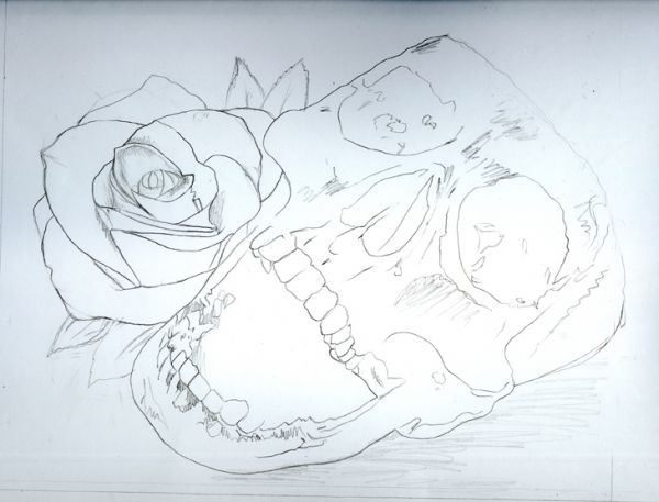 600x457 draw a skull and rose with pencils and watercolours - Skull And Rose Drawing Easy