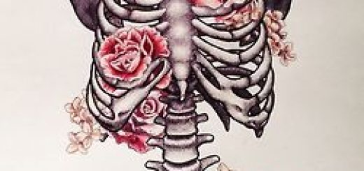 520x245 Skull Art Drawing - Skull Art Drawings