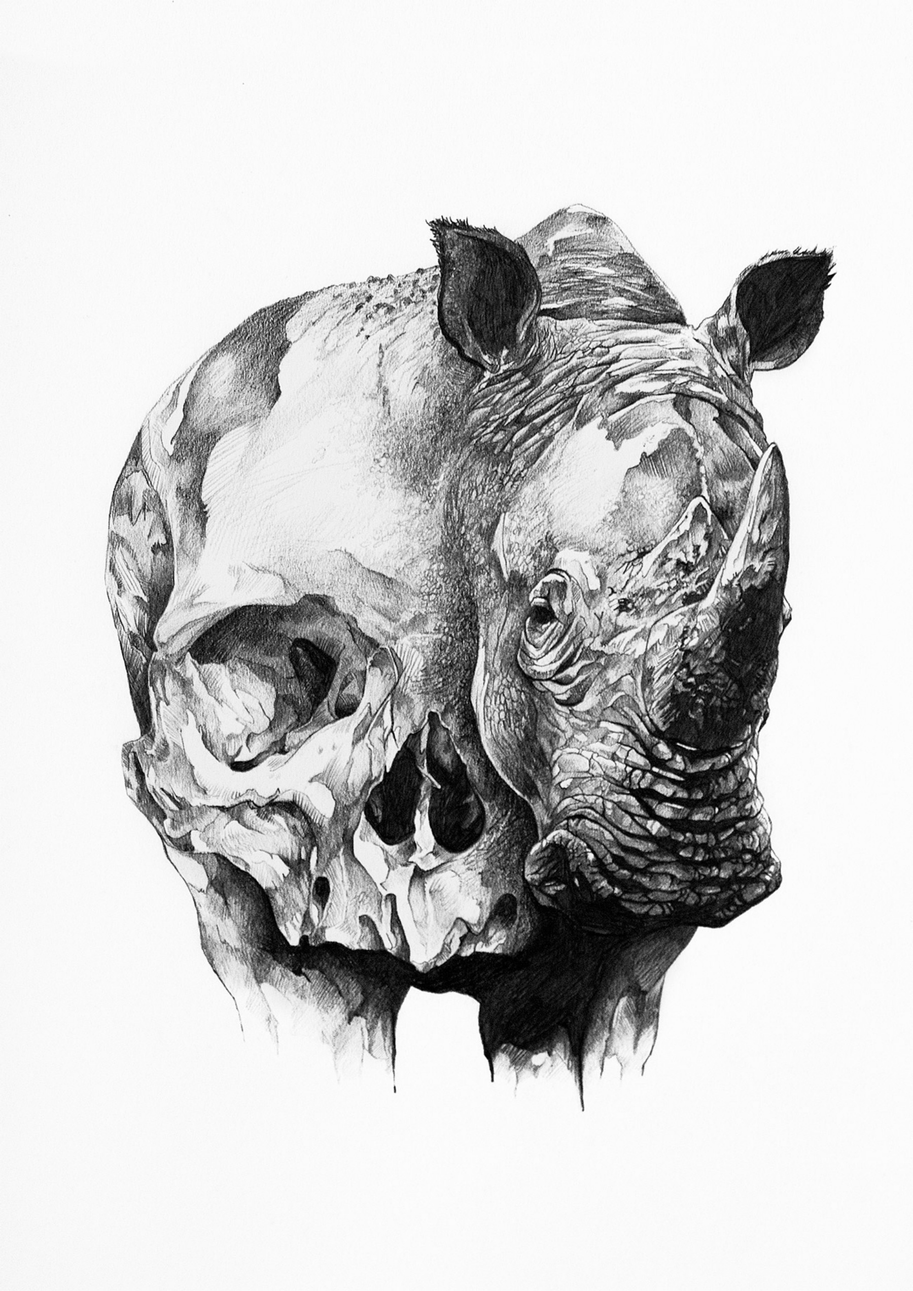1800x2545 Black And White Skull Drawings - Skull Black And White Drawing