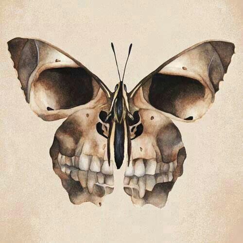 500x500 Butterfly Skull Drawing Discovered - Skull Butterfly Drawing