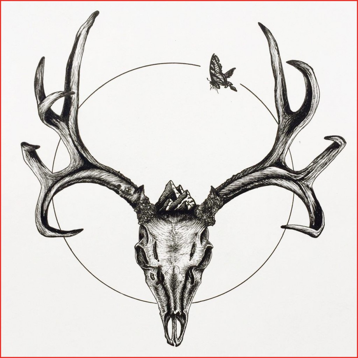 1228x1228 Deer Head Drawing Mule Deer Skull With Butterfly Ink Pen On Paper - Skull Butterfly Drawing