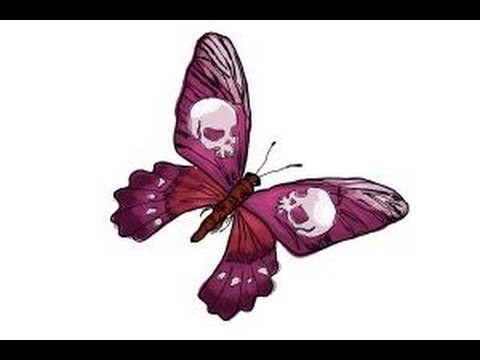 480x360 How To Draw A Skull Butterfly - Skull Butterfly Drawing