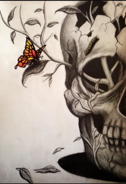500x725 Immagine Di Skull, Butterfly, And Drawing Skulls! - Skull Butterfly Drawing