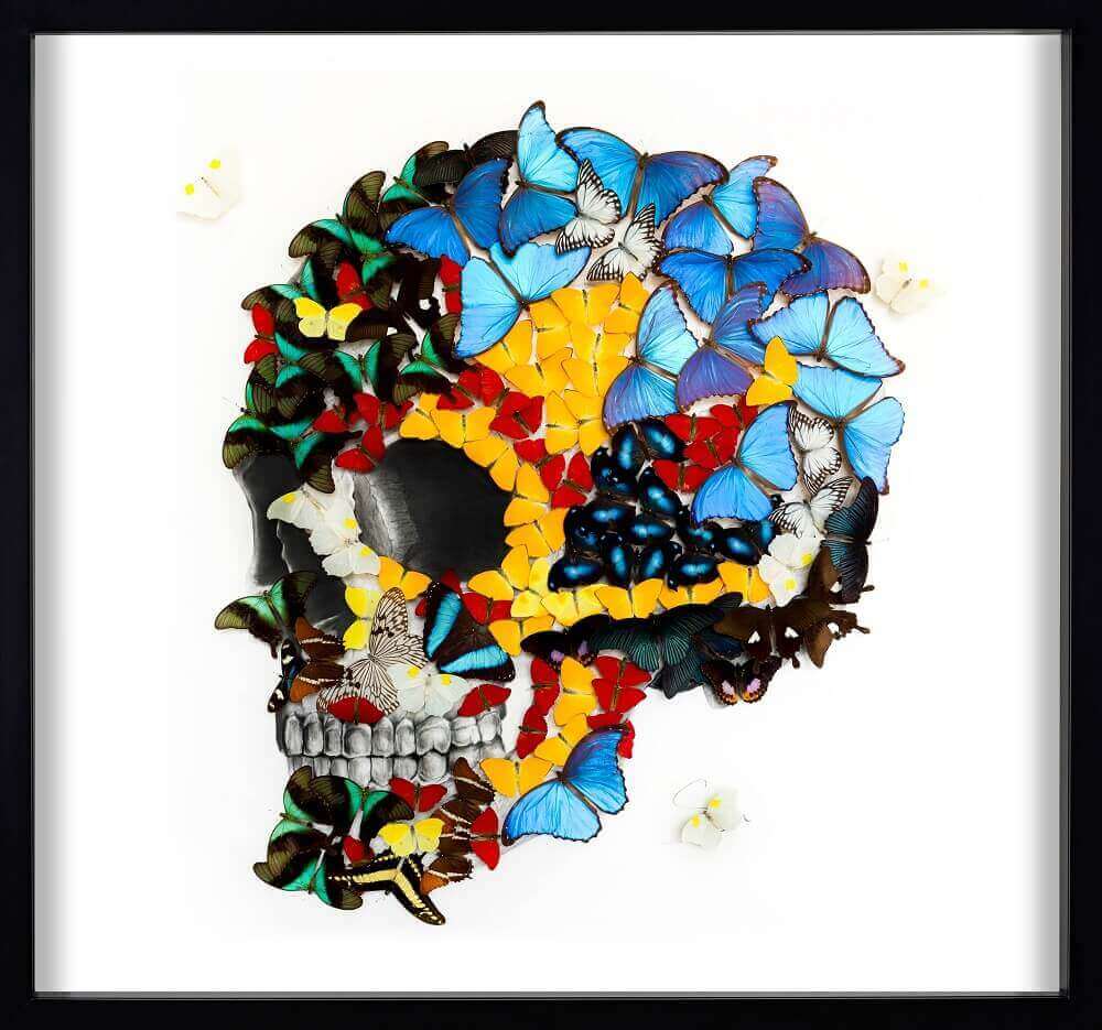 1000x935 Sn Butterflies Skull Eden Fine Art Gallery - Skull Butterfly Drawing