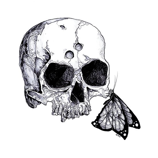 Skull Butterfly Drawing at PaintingValley.com | Explore collection of ...