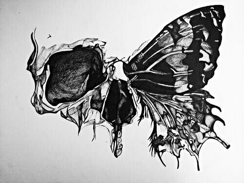 500x375 Skull Butterfly Beautifully Incorporated Art Design Drawing - Skull Butterfly Drawing