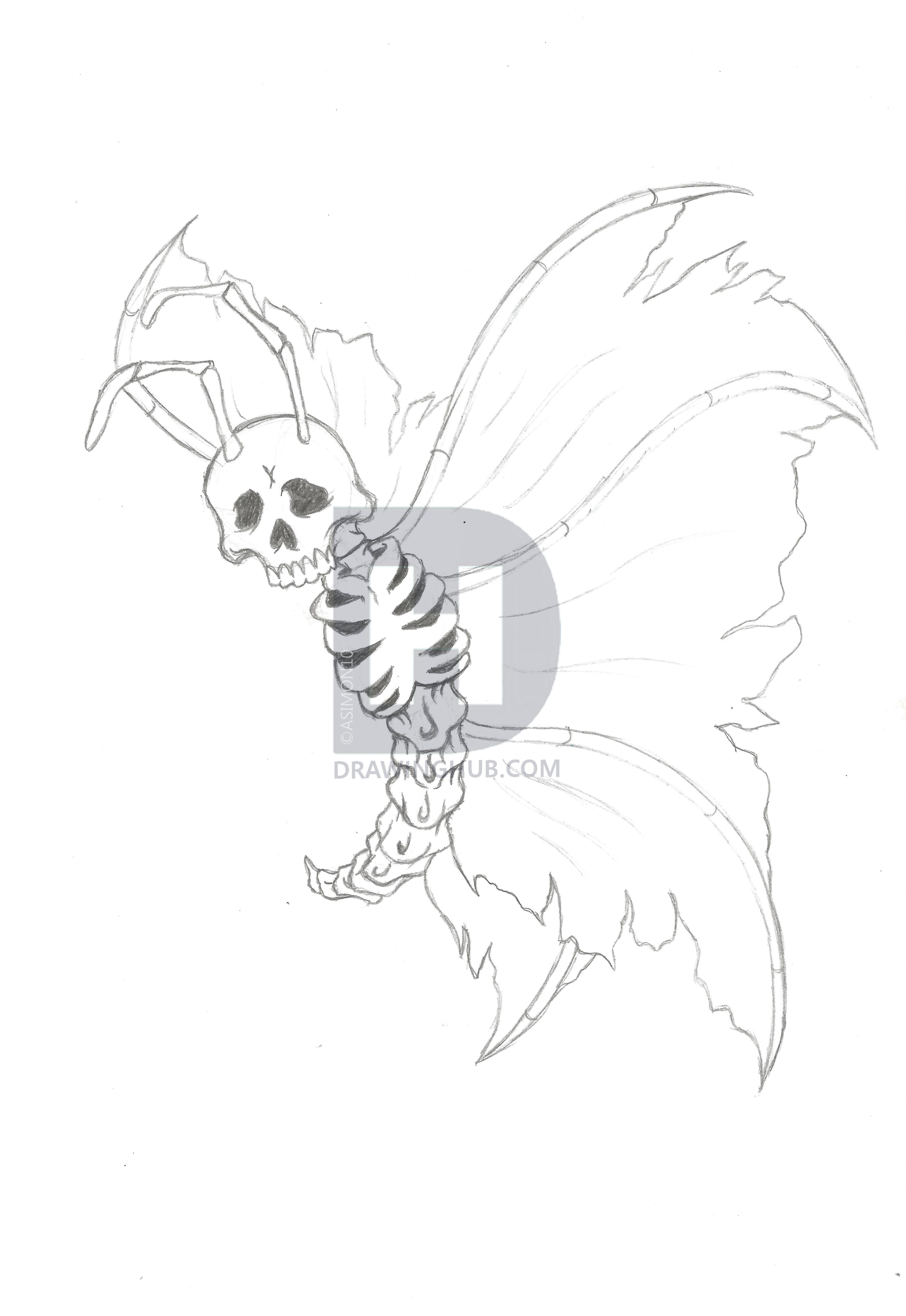 4206x6108 Skull Butterfly Drawing - Skull Butterfly Drawing