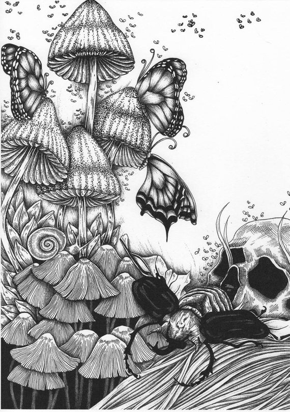 570x809 Skull Butterflies Etsy - Skull Butterfly Drawing