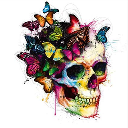 425x425 Xinhuaya Full Diamond Painting Butterfly And Skull - Skull Butterfly Drawing