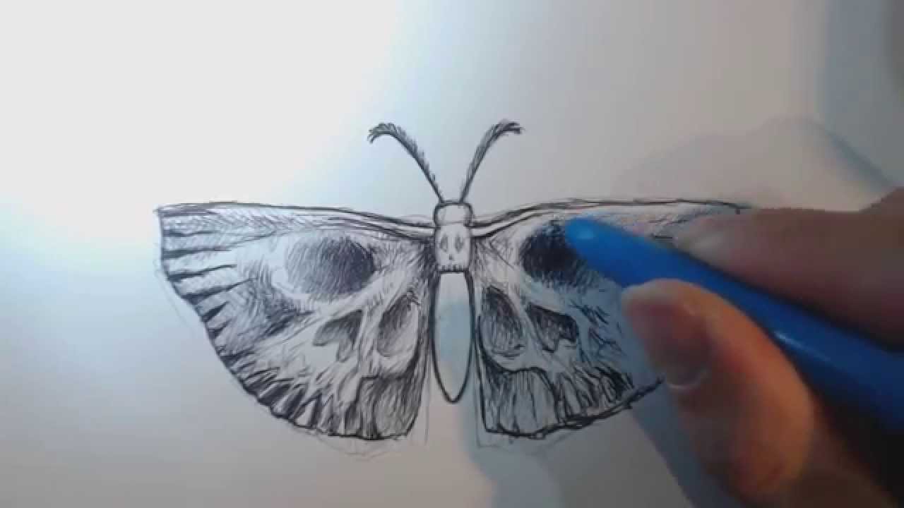 1280x720 Beanie Draws A Tattoo Design Of A Moth Butterfly With Skull Wings - Skull Butterfly Drawing