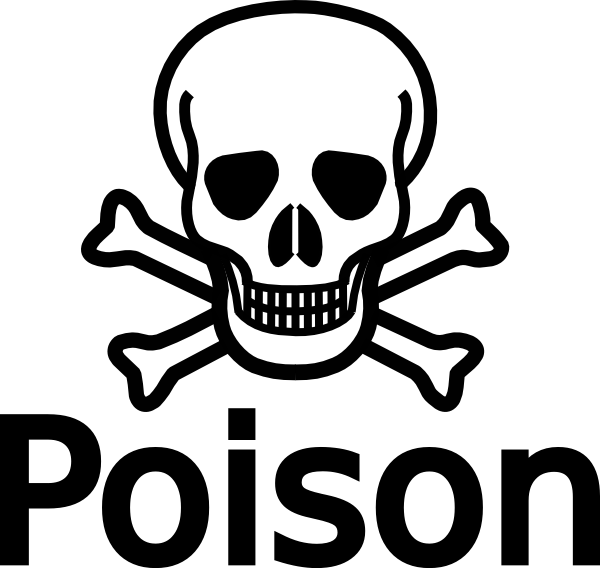 600x568 skull and crossbone - Skull Crossbones Drawing