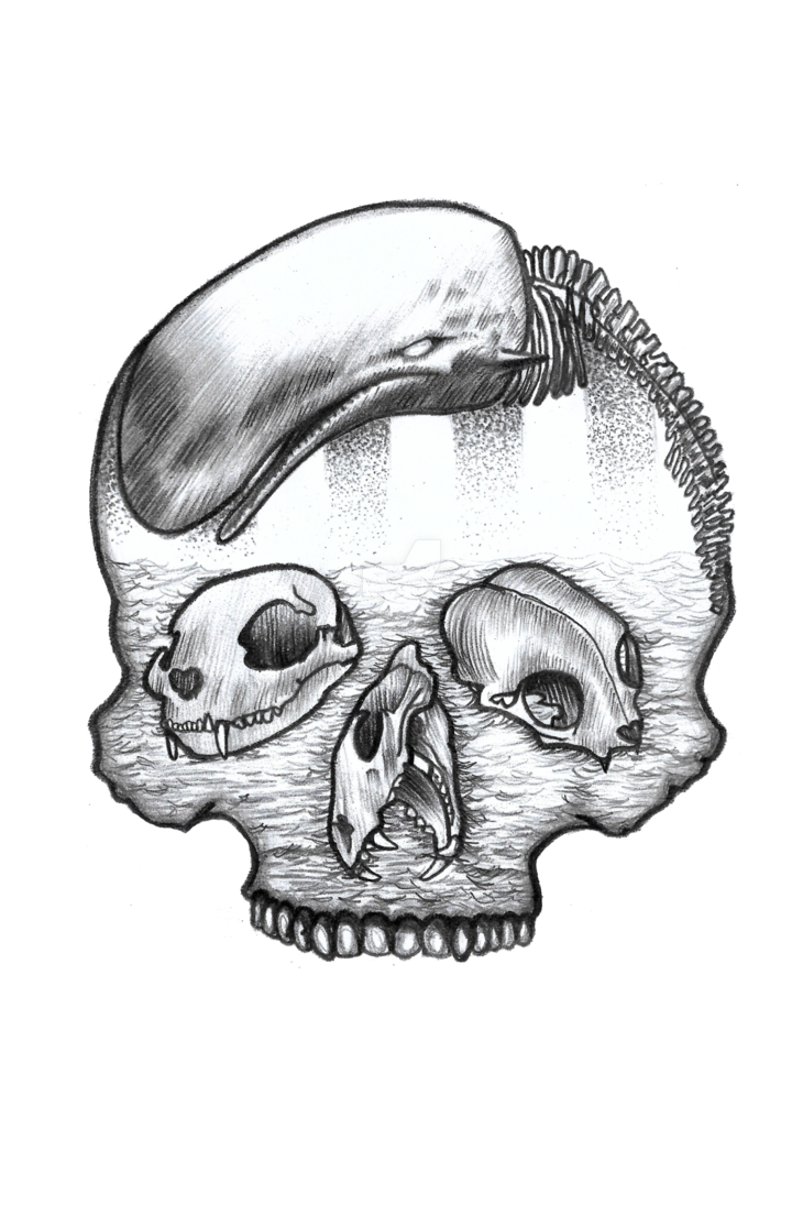 730x1095 Skulls Tattoo Design - Skull Design Drawing
