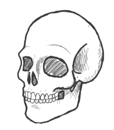 436x496 Drawing A Skull In A Few Simple Steps Drawing Art Blog - Skull Drawing