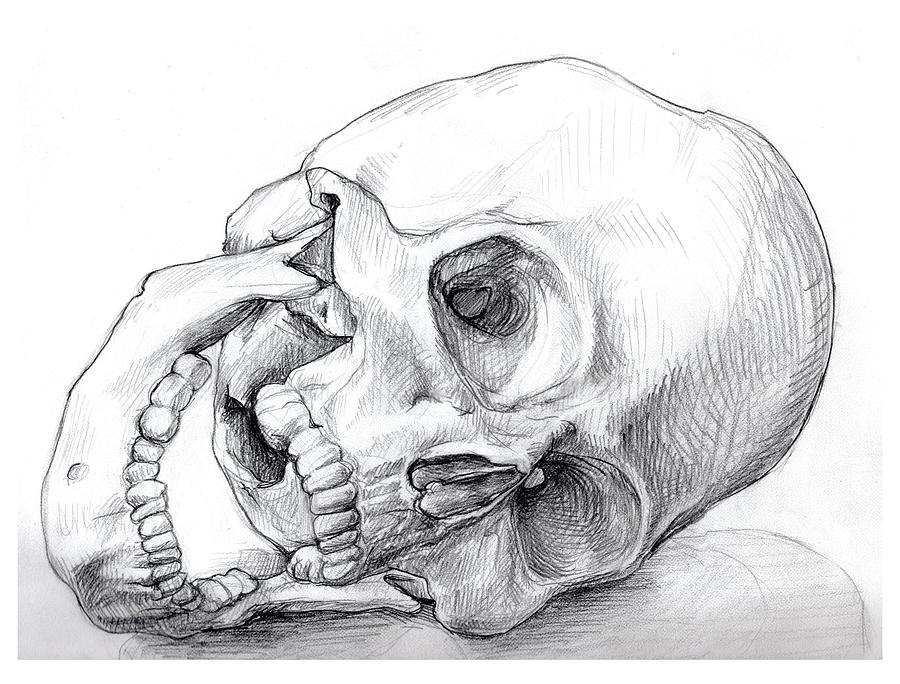 900x684 Gaping Skull Drawing - Skull Drawing