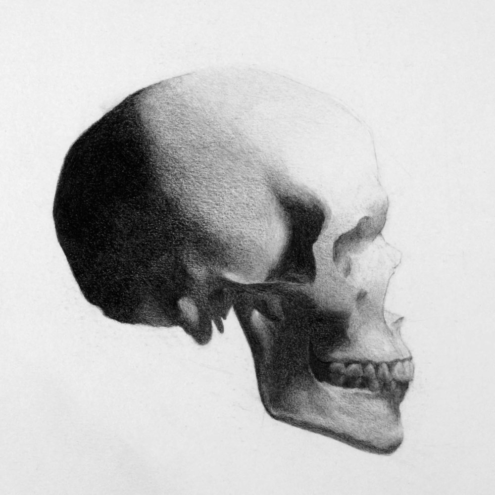 1000x1000 Skull Drawing Inigo Gheyselinck - Skull Drawing