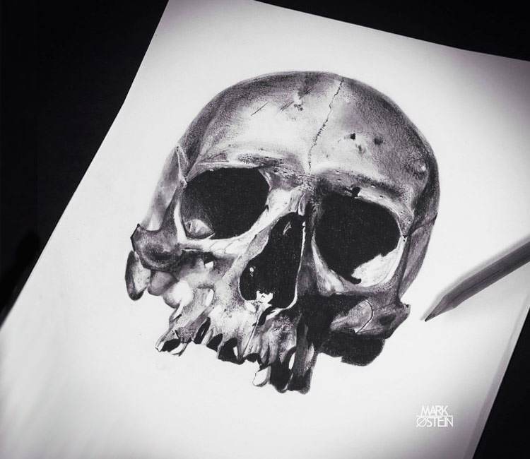 750x650 Skull Drawing - Skull Drawing