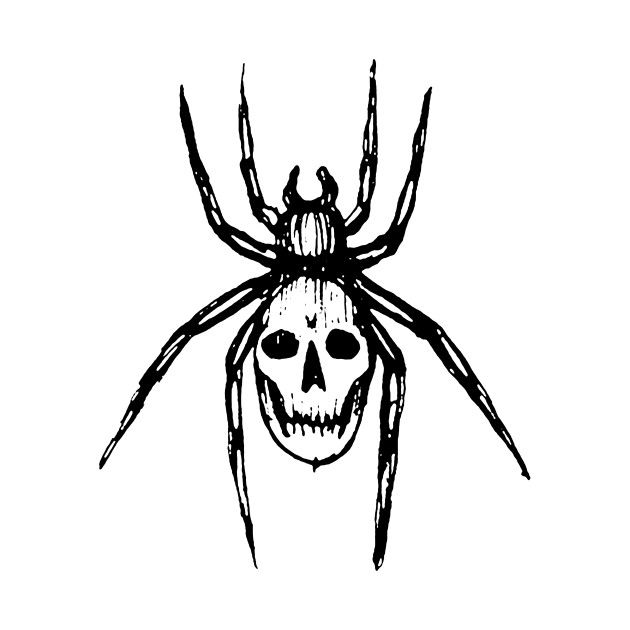 630x630 Spider Skull - Skull Drawing