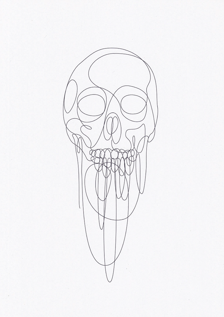 764x1080 Dft - Skull Drawing Art