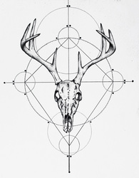 195x250 deer skull drawing, deer, skull, drawing art print sunshineestes - Skull Drawing Art
