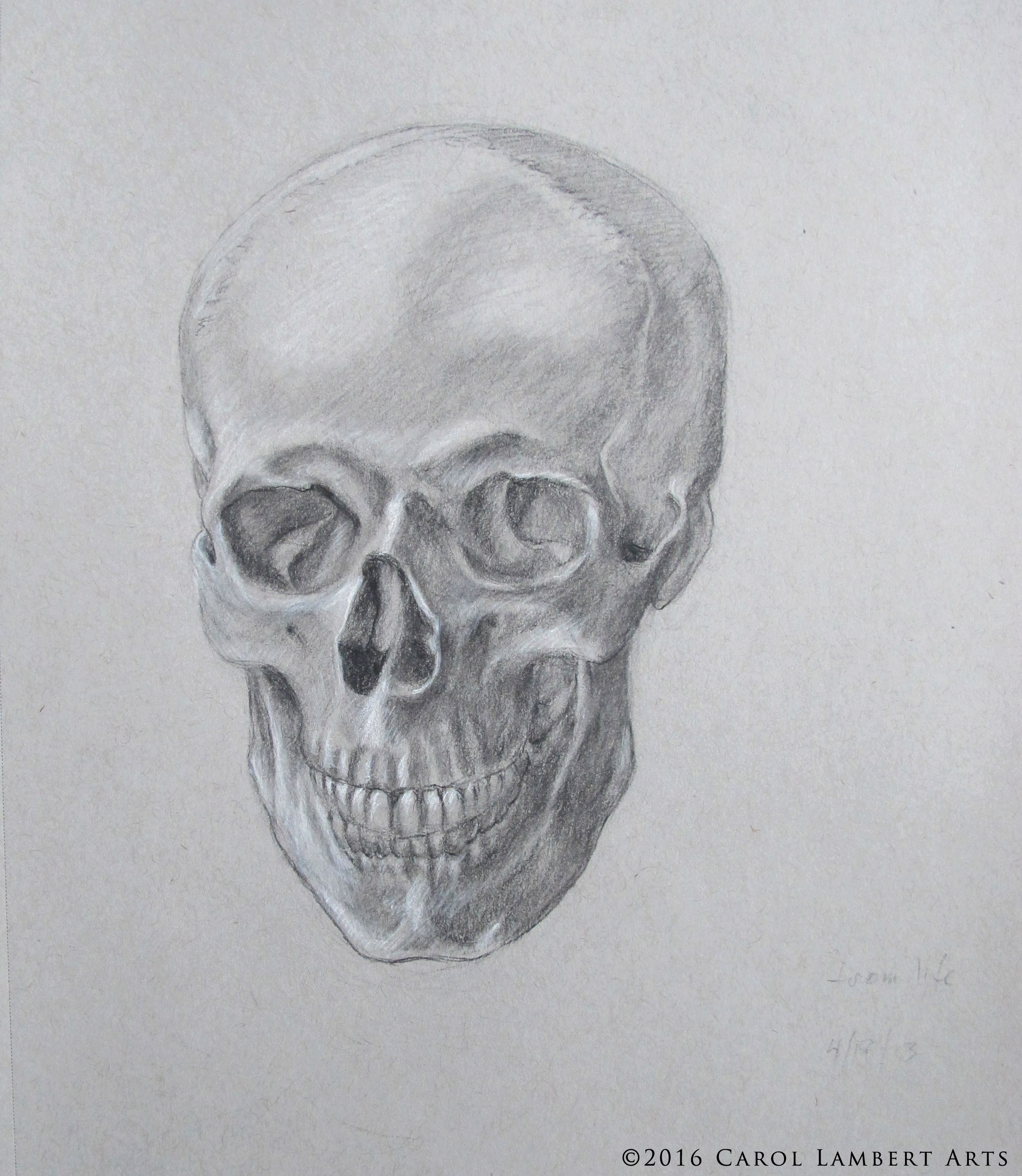 2289x2634 Drawing Skulls, Animal And Human - Skull Drawing Art