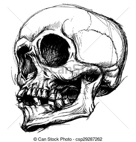 450x470 Skull Drawing Line Work Vector Skull Traditional Drawing Line - Skull Drawing Art