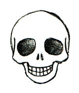 159x187 Easy Drawing Of Skulls - Skull Drawing Easy