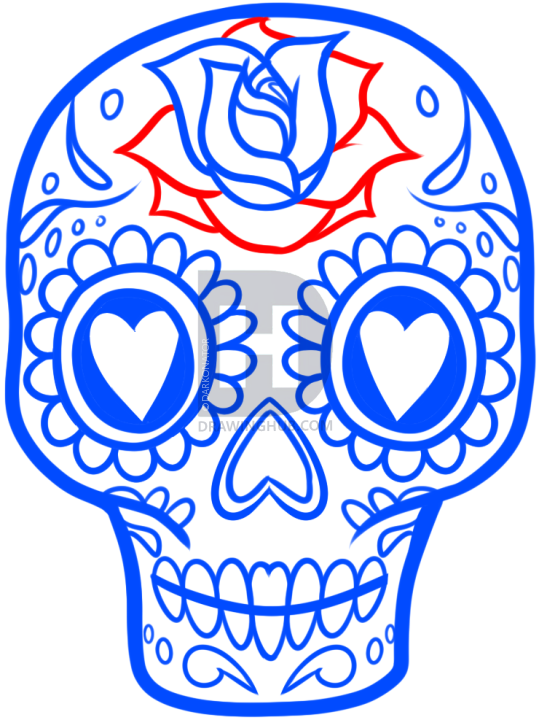 539x720 How To Draw A Sugar Skull Easy, Step - Skull Drawing Easy