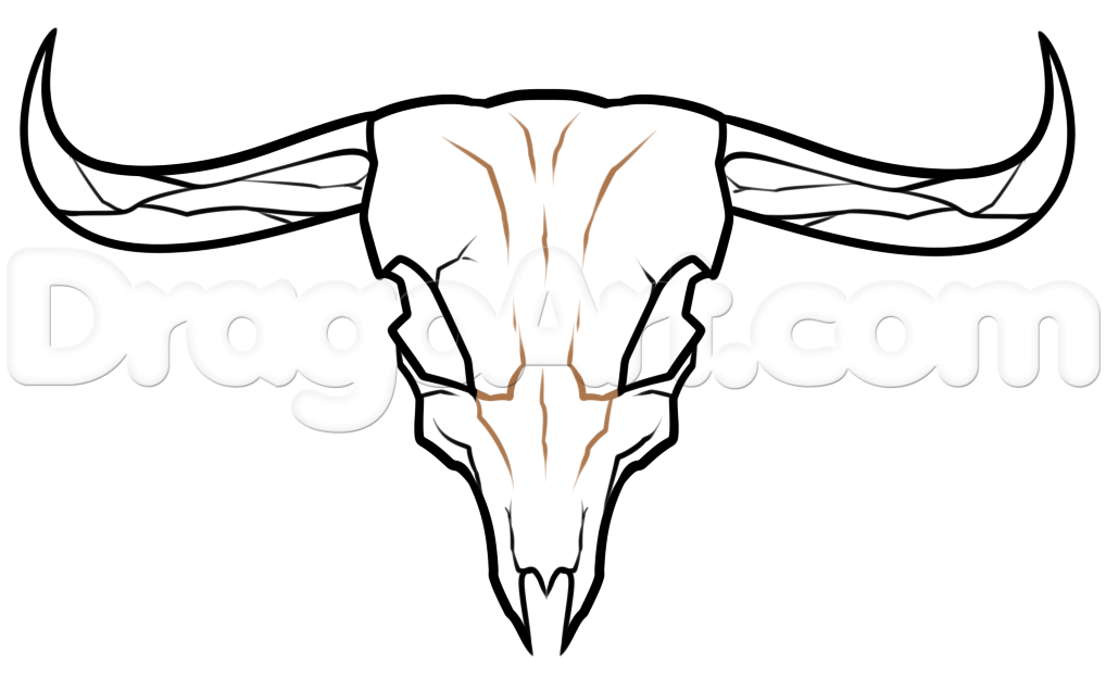 1018x624 Steer Skull Drawing, Step - Skull Drawing Easy