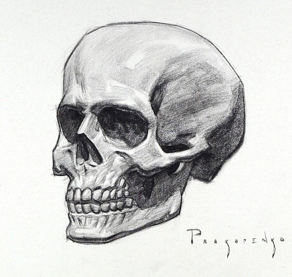 600x569 How To Draw A Skull - Skull Drawing Images