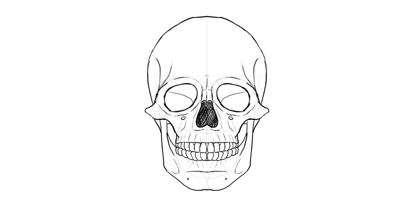 850x421 How To Draw A Skull - Skull Drawing Images