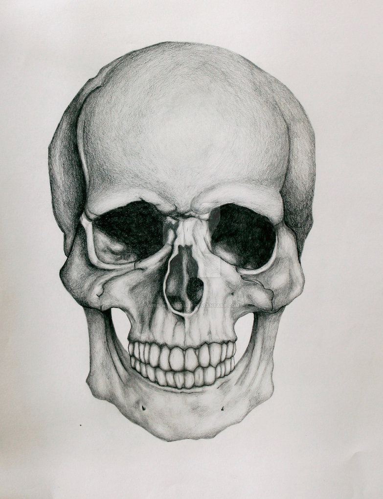 783x1019 Skull Head Drawing Beautiful Image Drawing Skill - Skull Drawing Images