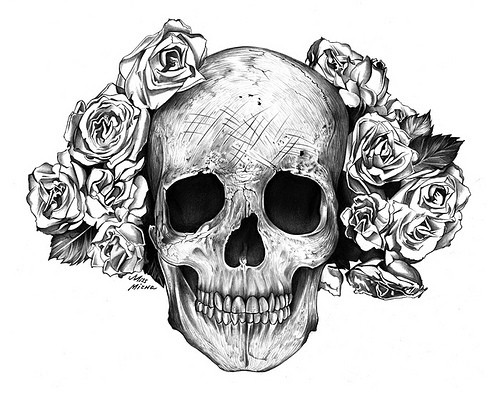 500x415 skulls and roses smore newsletters for education - Skull Drawing Images