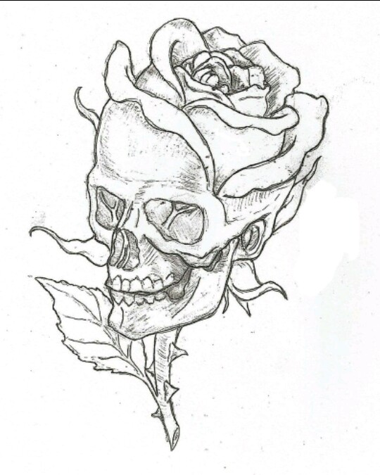 540x675 Skull Drawing Draw Drawings Rose Freetoedit - Skull Drawing Images