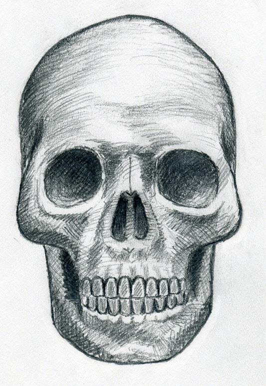 533x772 Draw Skulls Can Be This Easy - Skull Drawing Images