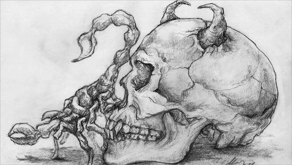 600x340 Skull Drawings - Skull Drawing Pics