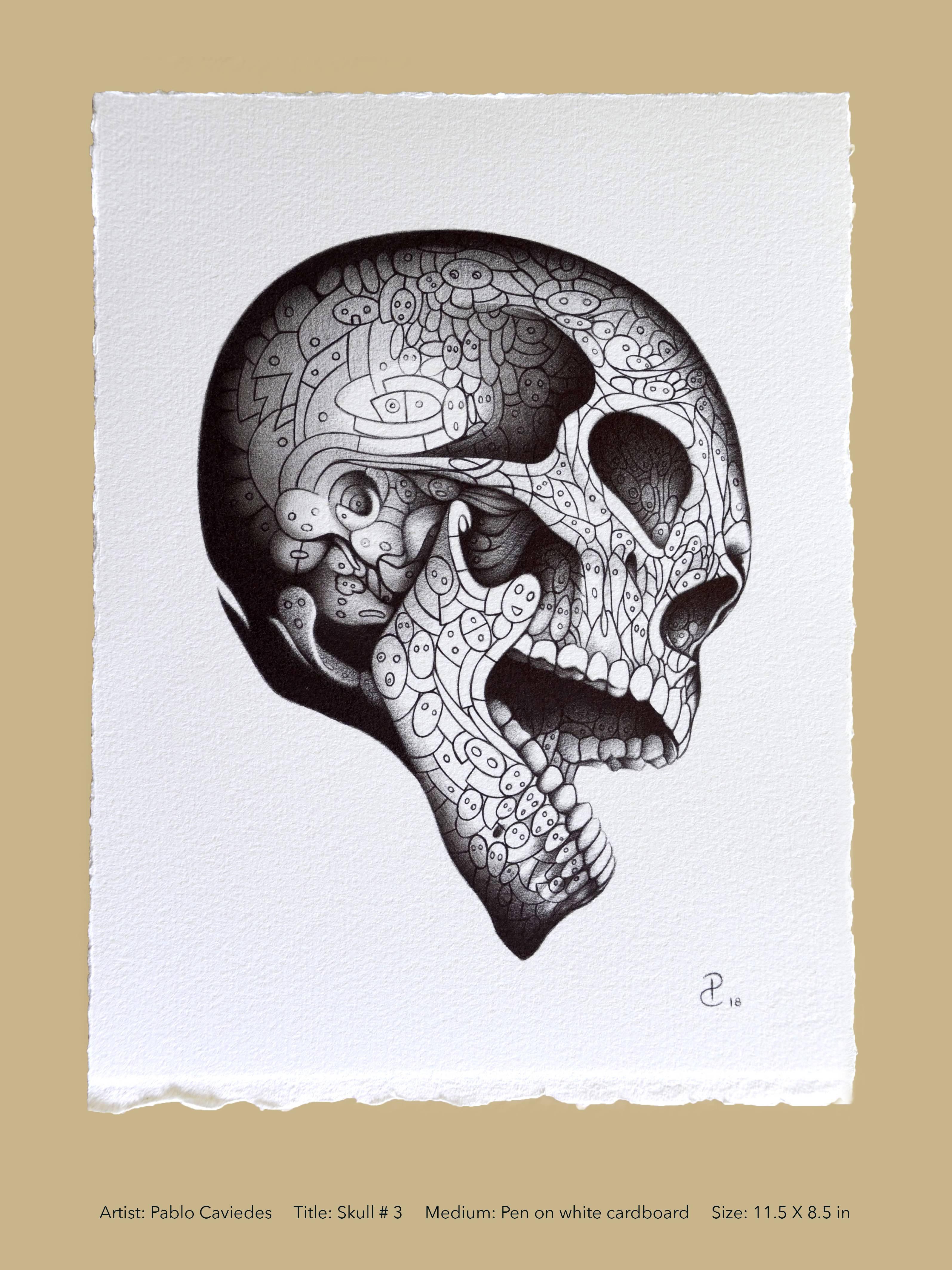 3189x4252 Pablo Caviedes - Skull Drawing Pics