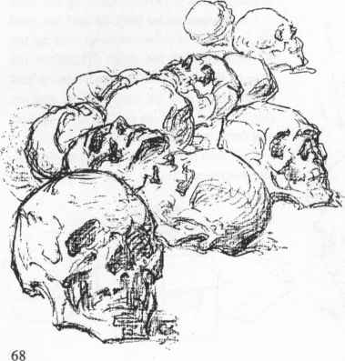 379x397 The Skull - Skull Drawing Pics